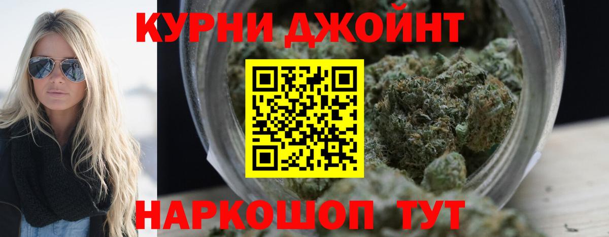 Котовск  Бошки Шишки планчик  Вход с VPN  Бошки Шишки ГИДРОПОН 
